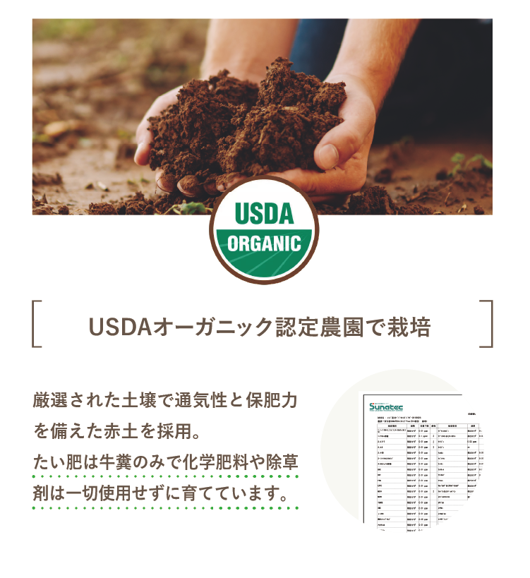 USDAオーガニック認定農園で栽培