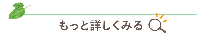 もっと詳しくみる